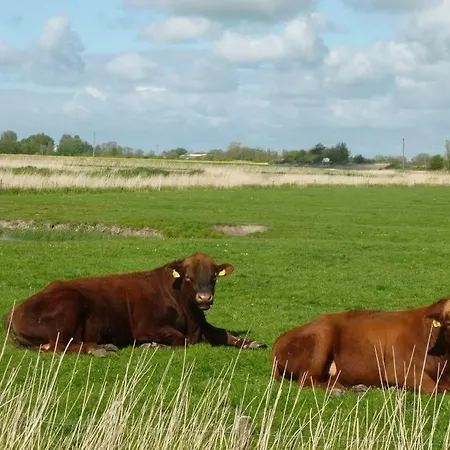 Apartament Hof Peters