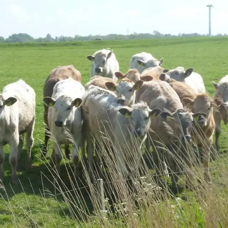 Apartament Hof Peters *