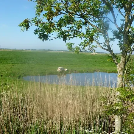 Hof Peters Apartament Tating