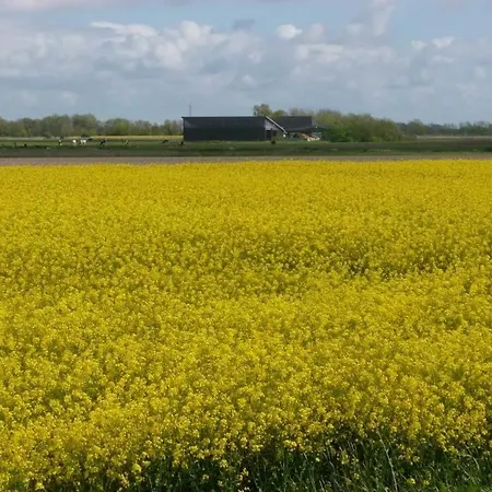 Apartament Hof Peters