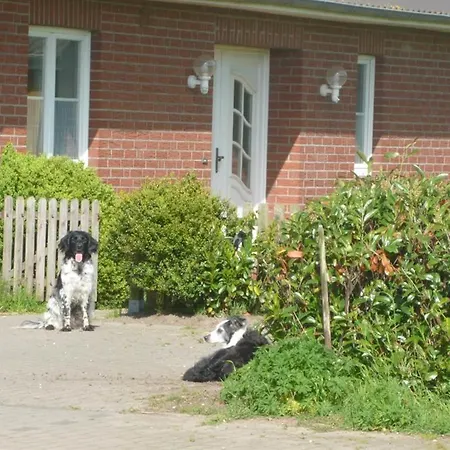 Hof Peters Apartament