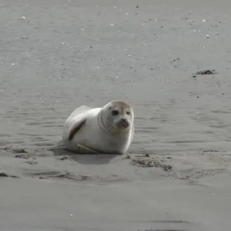 Apartament Hof Peters *