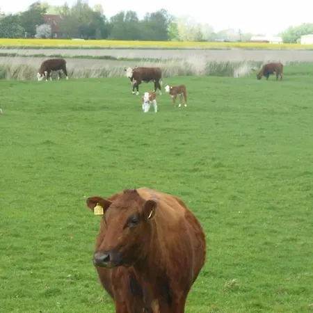 Apartament Hof Peters