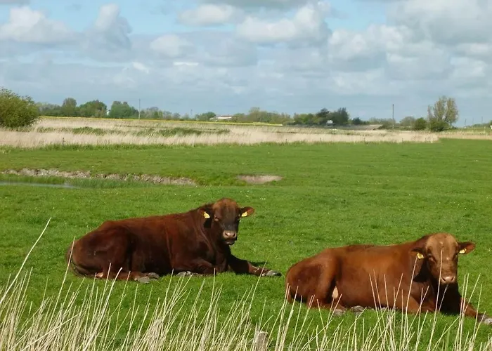 Appartement Hof Peters