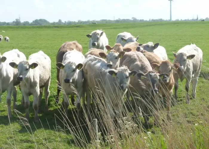 Appartement Hof Peters *