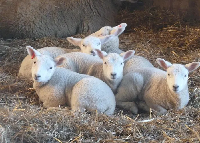 Appartement Hof Peters *