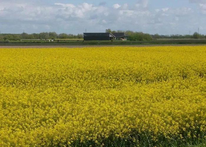 Appartement Hof Peters