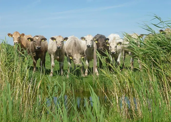 Hof Peters Appartement