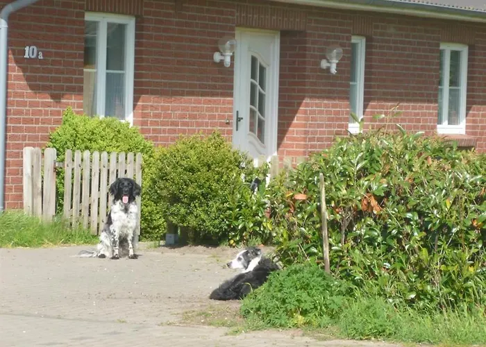 Hof Peters Appartement