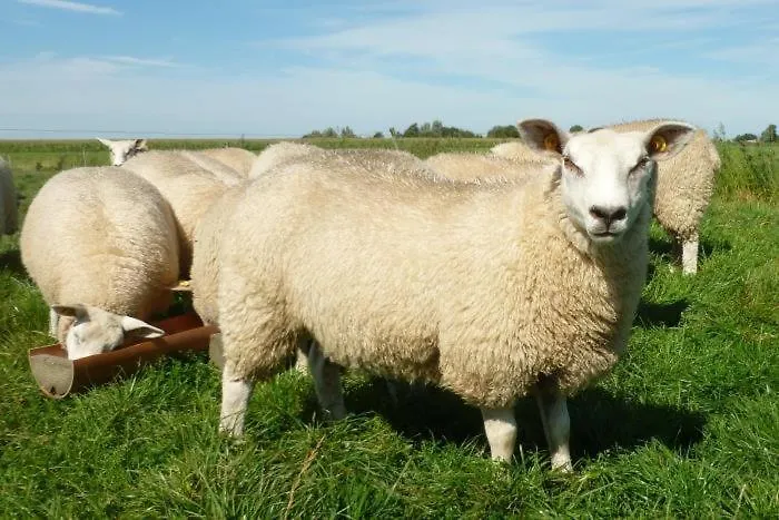 Hof Peters Appartement